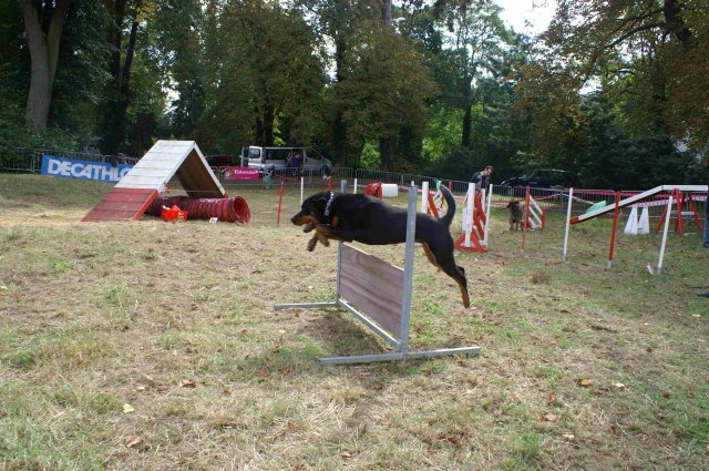 foire-haricots 2011-09-17et18